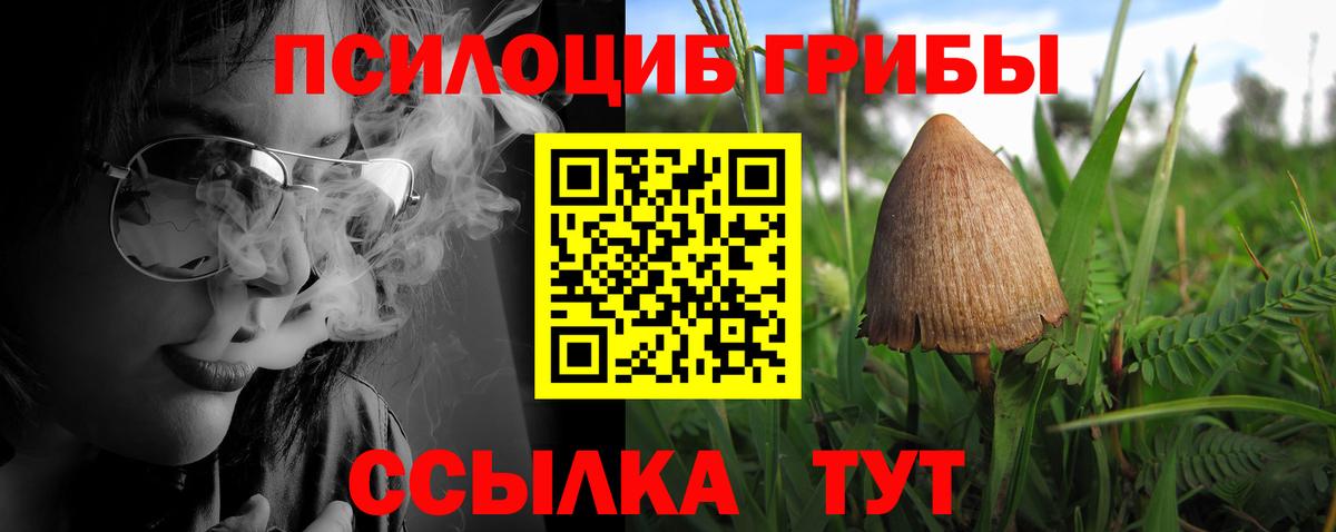 Псилоцибиновые грибы GOLDEN TEACHER  Вход с VPN  Рузаевка  Псилоцибиновые грибы Psilocybine cubensis 